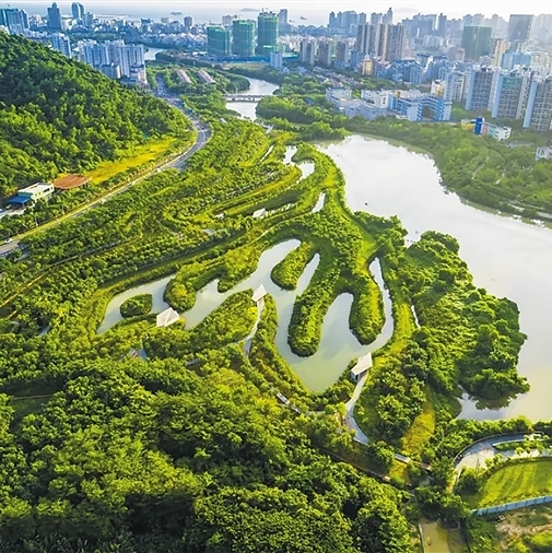 項目展示圖